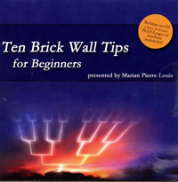 Ten Brick Wall Tips For Beginners