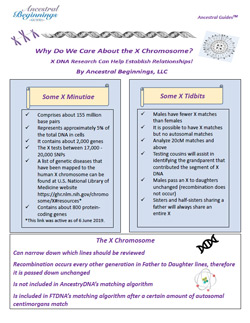 Why Do We Care About the X Chromosome? <em>Ancestral Guide</em> - PDF eBook